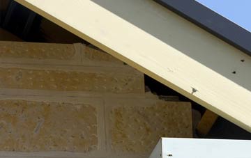 soffit repair Great Kelk